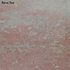Rosa Tea Rosa Tea